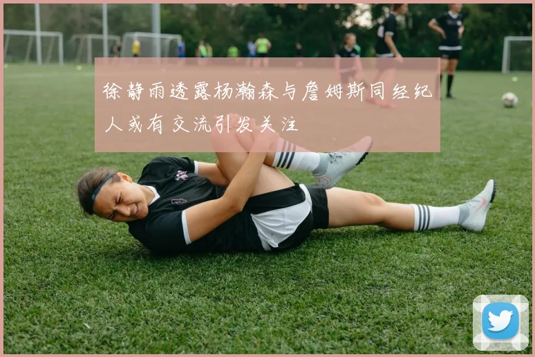 徐静雨透露杨瀚森与詹姆斯同经纪人或有交流引发关注