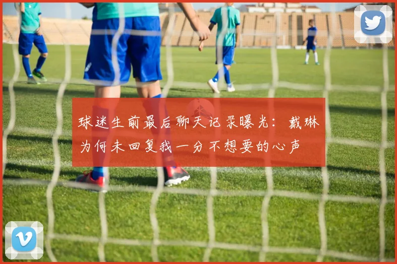 球迷生前最后聊天记录曝光：戴琳为何未回复我一分不想要的心声